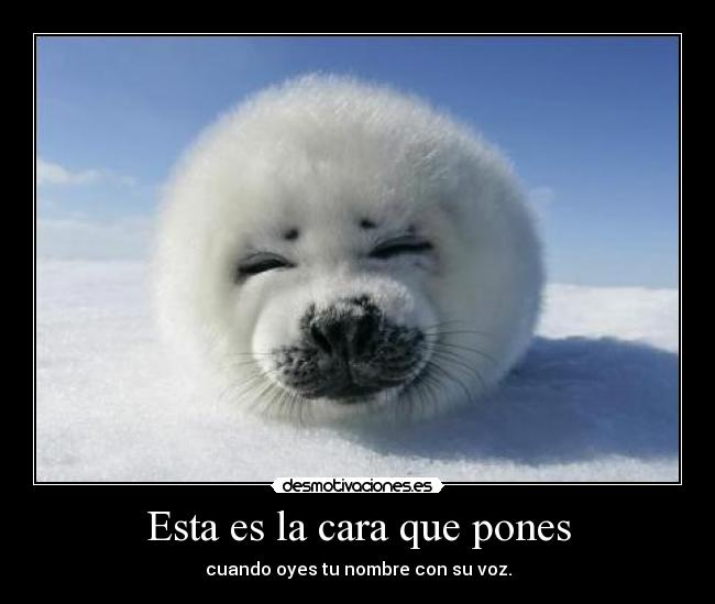 Esta es la cara que pones - 