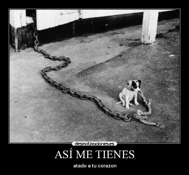 ASÍ ME TIENES -