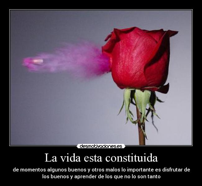 carteles vida buenos malos momentos desmotivaciones