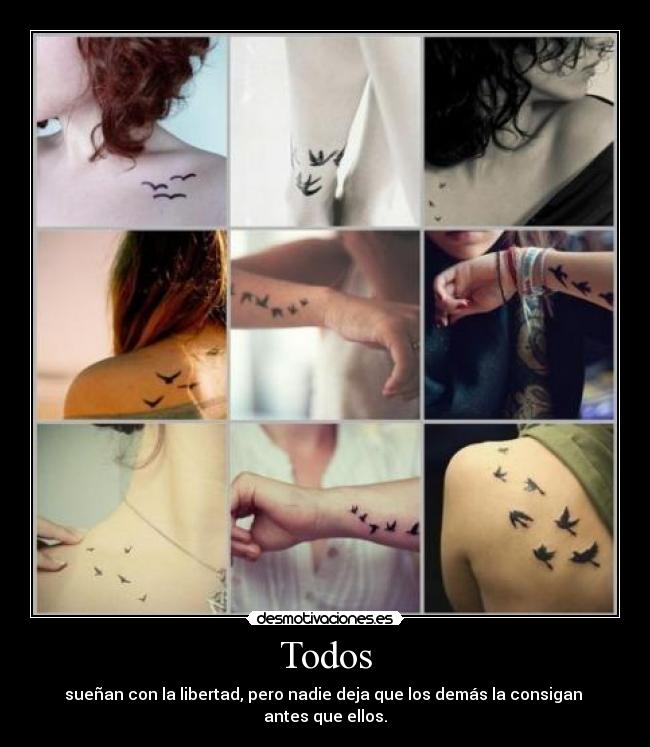 carteles misshappiness desmotivaciones