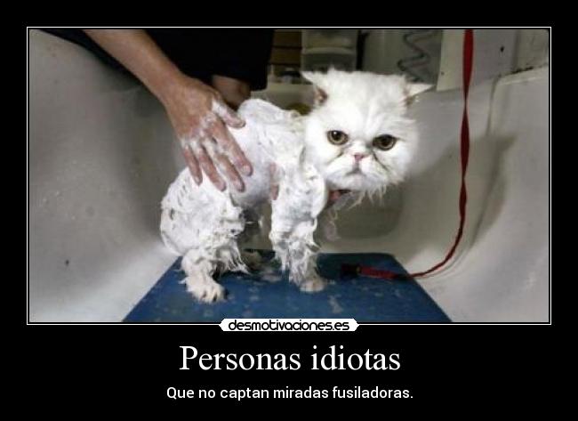 Personas idiotas -