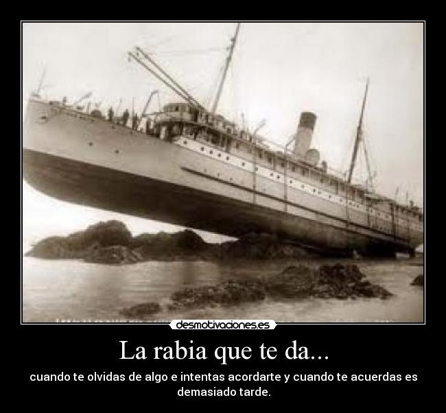 carteles maru feliz desmotivaciones