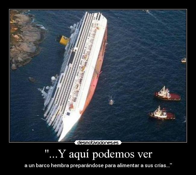 ...Y aquí podemos ver -