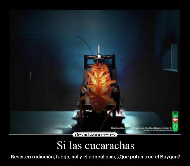 carteles cucarachas baygon juan david caicedo desmotivaciones