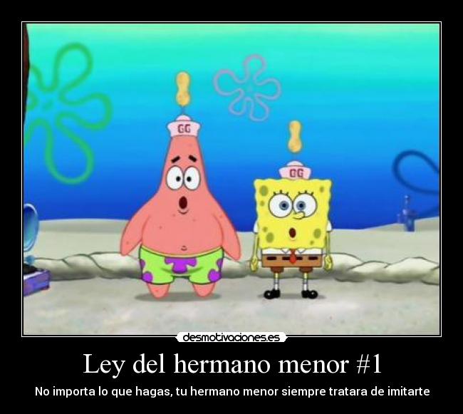 carteles hermanos menores bob esponja desmotivaciones