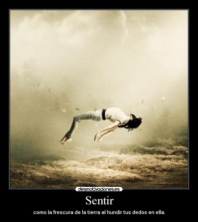 Sentir - 