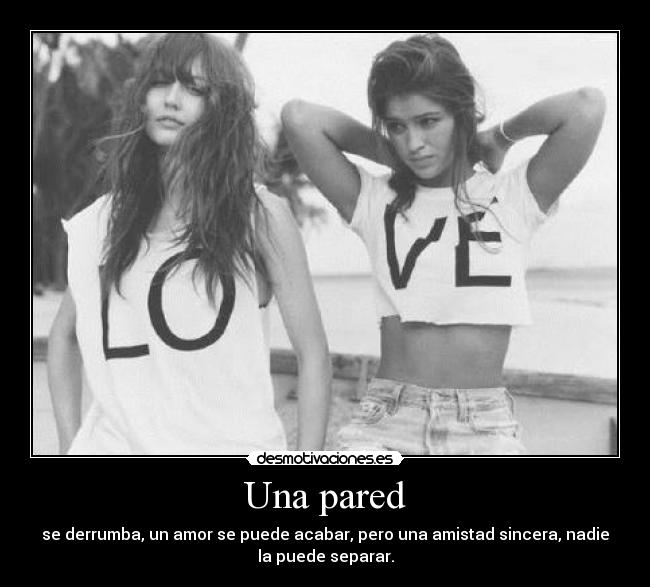 carteles amistad desmotivaciones