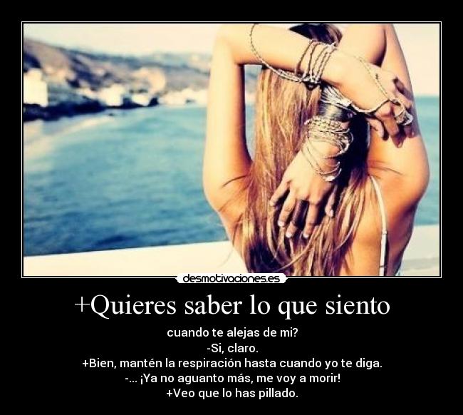 carteles quieressabesloquesiento desmotivaciones