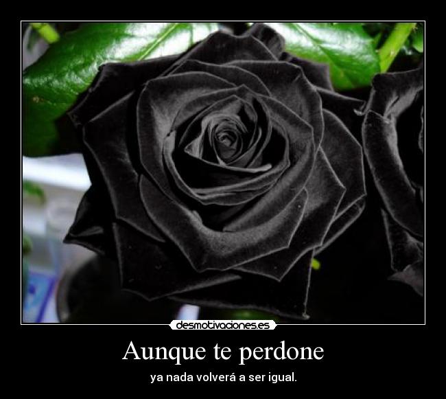 Aunque te perdone - 