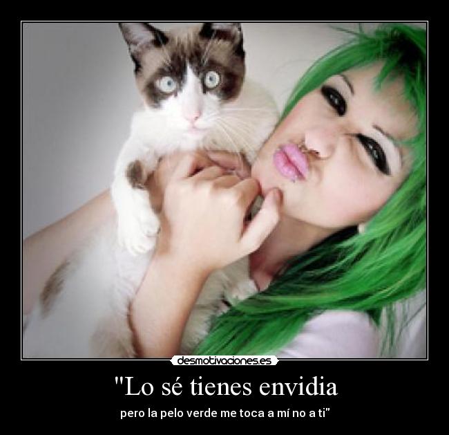 Lo sé tienes envidia - pero la pelo verde me toca a mí no a ti