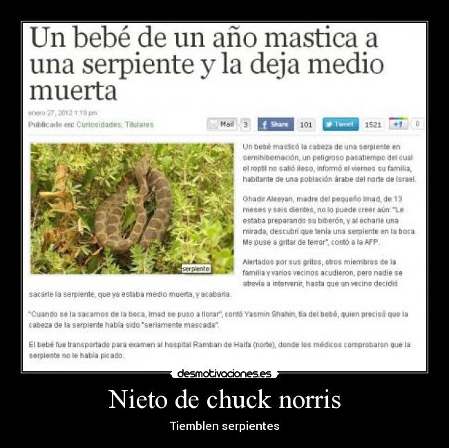 Nieto de chuck norris - 