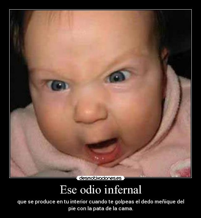 Ese odio infernal - 