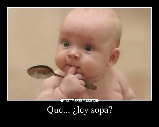 Que... ¿ley sopa? -