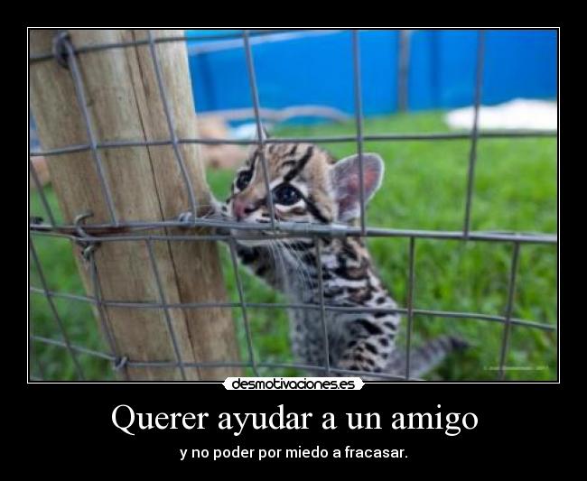 carteles guafyafya desmotivaciones