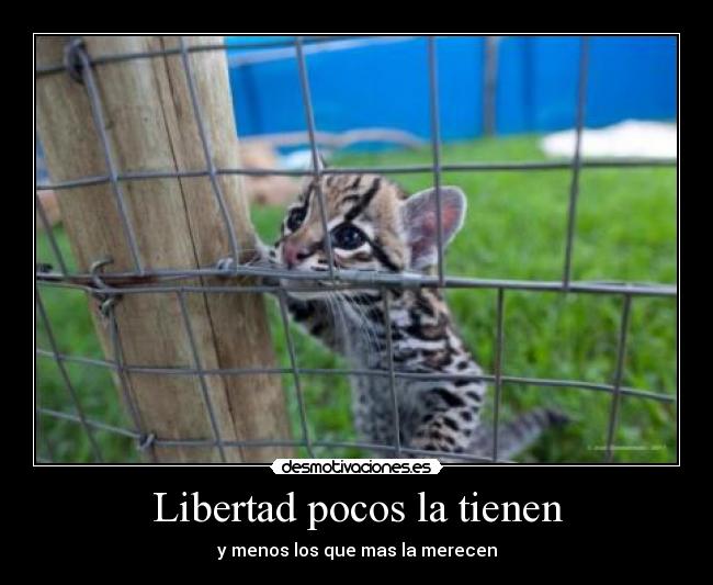Libertad pocos la tienen - y menos los que mas la merecen