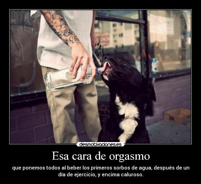 Esa cara de orgasmo - que ponemos todos al beber los primeros sorbos de agua, después de un
día de ejercicio, y encima caluroso.