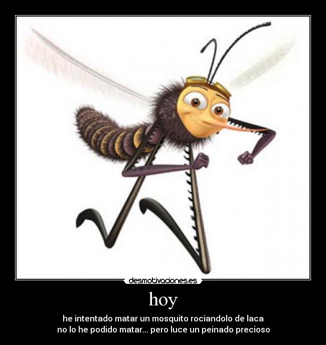 hoy - he intentado matar un mosquito rociandolo de laca
no lo he podido matar... pero luce un peinado precioso