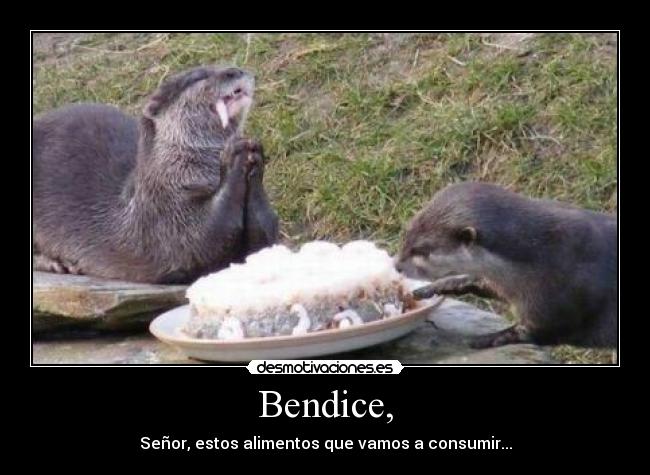 Bendice, -
