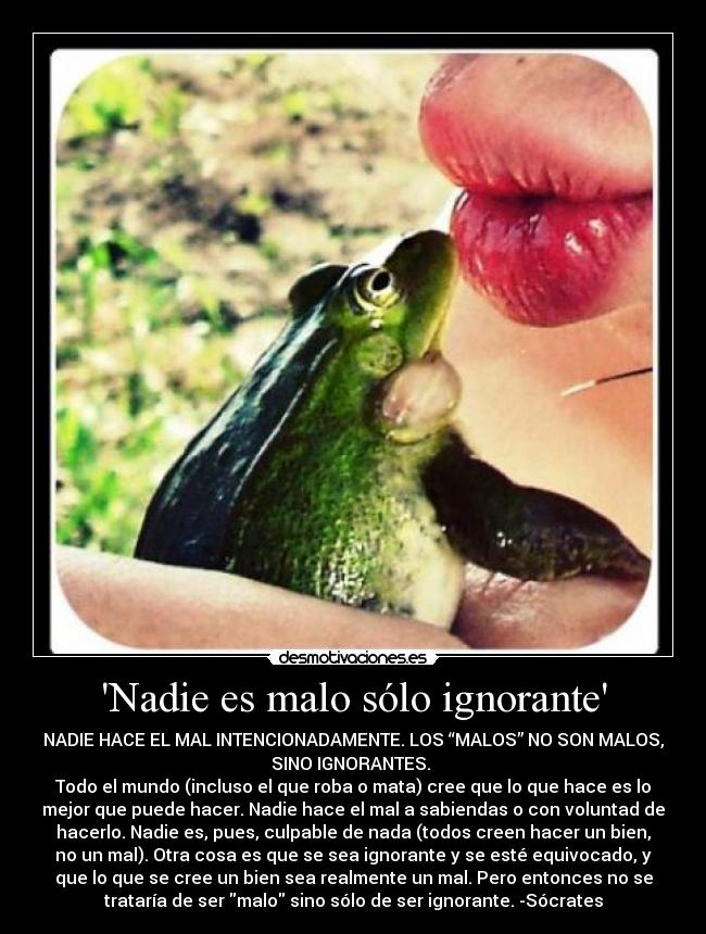 Nadie es malo sólo ignorante - NADIE HACE EL MAL INTENCIONADAMENTE. LOS “MALOS” NO SON MALOS,
SINO IGNORANTES. 
Todo el mundo (incluso el que roba o mata) cree que lo que hace es lo
mejor que puede hacer. Nadie hace el mal a sabiendas o con voluntad de
hacerlo. Nadie es, pues, culpable de nada (todos creen hacer un bien,
no un mal). Otra cosa es que se sea ignorante y se esté equivocado, y
que lo que se cree un bien sea realmente un mal. Pero entonces no se
trataría de ser malo sino sólo de ser ignorante. -Sócrates