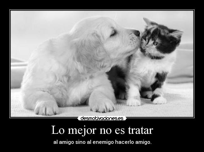 Lo mejor no es tratar -