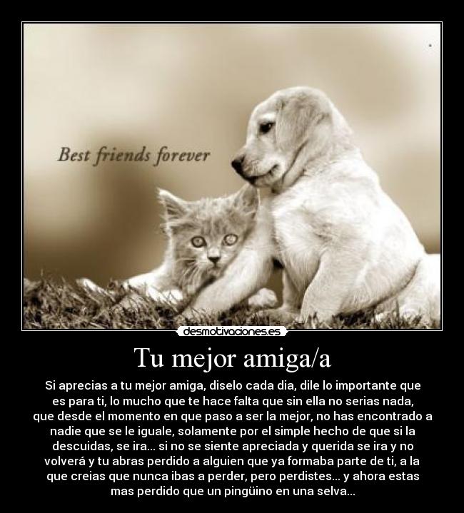 Tu mejor amiga/a - Si aprecias a tu mejor amiga, diselo cada dia, dile lo importante que
es para ti, lo mucho que te hace falta que sin ella no serias nada,
que desde el momento en que paso a ser la mejor, no has encontrado a
nadie que se le iguale, solamente por el simple hecho de que si la
descuidas, se ira... si no se siente apreciada y querida se ira y no
volverá y tu abras perdido a alguien que ya formaba parte de ti, a la
que creias que nunca ibas a perder, pero perdistes... y ahora estas
mas perdido que un pingüino en una selva...