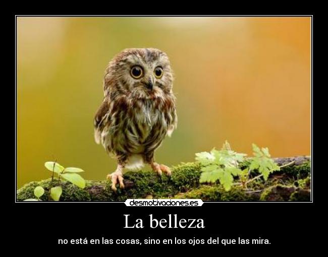 La belleza - no está en las cosas, sino en los ojos del que las mira.