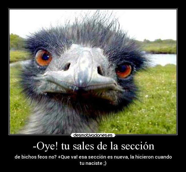 -Oye! tu sales de la sección - de bichos feos no? +Que va! esa sección es nueva, la hicieron cuando tu naciste ;)