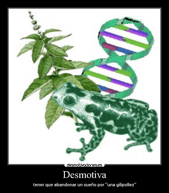 Desmotiva - tener que abandonar un sueño por una gilipollez