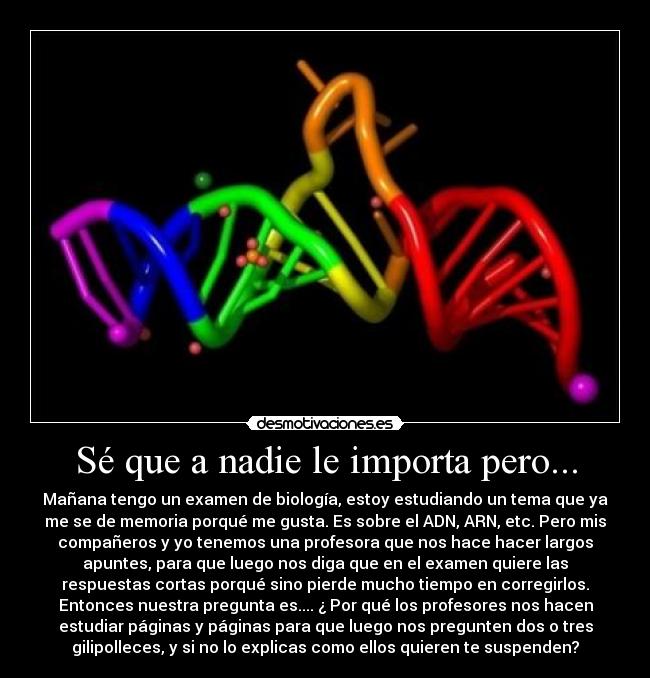 Sé que a nadie le importa pero... - 