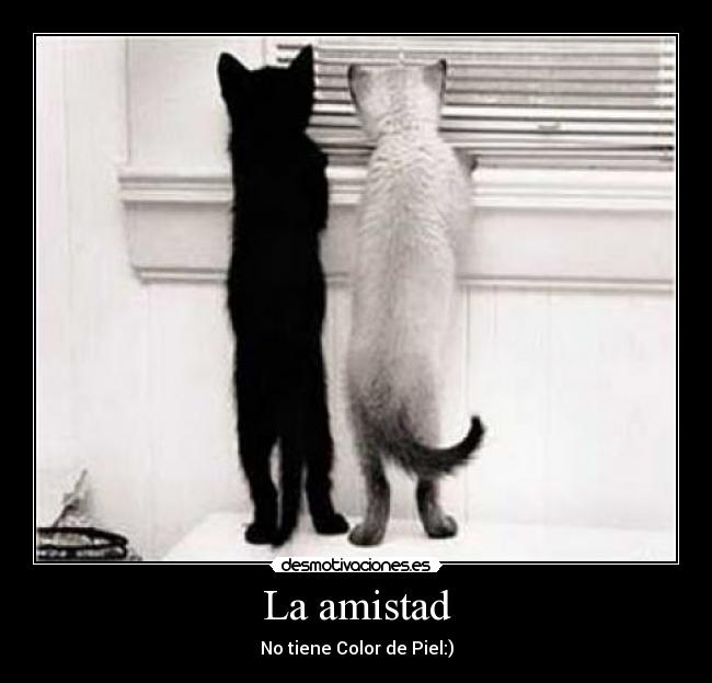 La amistad - No tiene Color de Piel:)