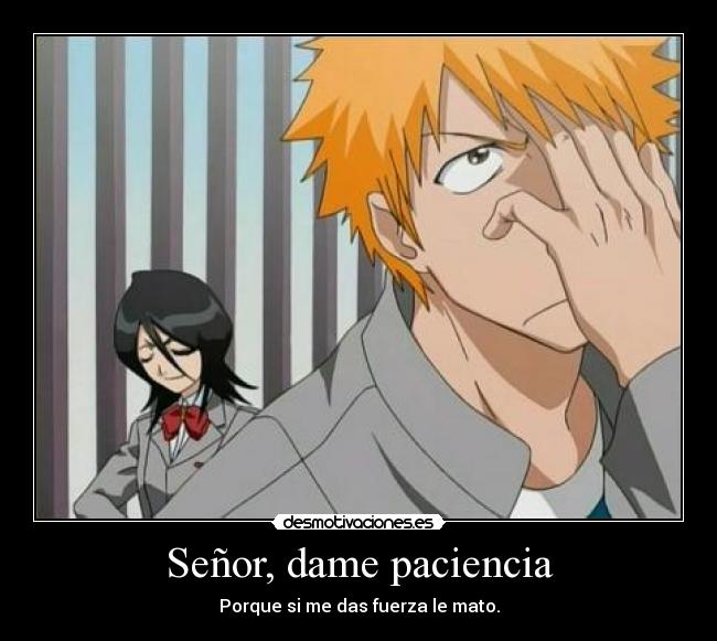 carteles bleach anime rukia ichigo fany123456 desmotivaciones