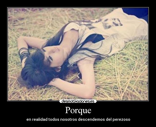 Porque -
