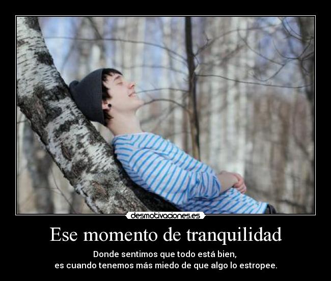 Ese momento de tranquilidad - 