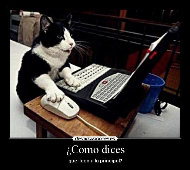 ¿Como dices - que llego a la principal?