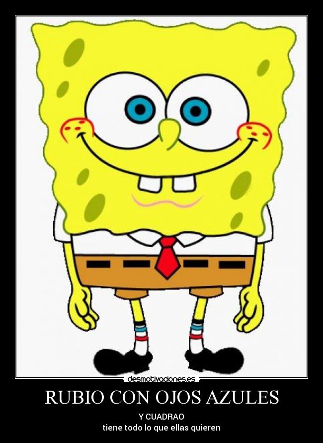 carteles bod esponja desmotivaciones