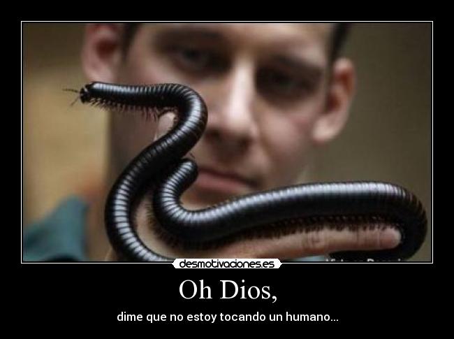 Oh Dios, - dime que no estoy tocando un humano...