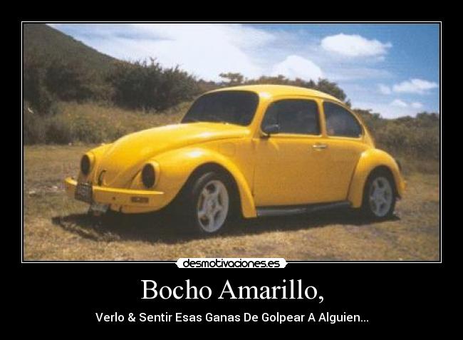 Bocho Amarillo, -