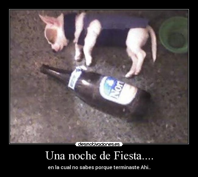 Una noche de Fiesta.... - 