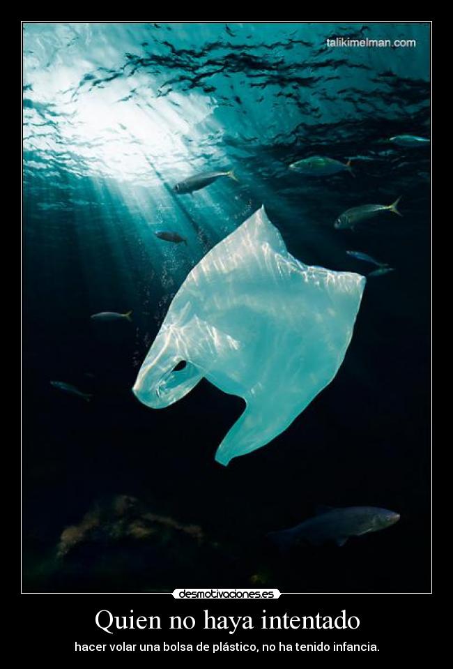 Quien no haya intentado - 