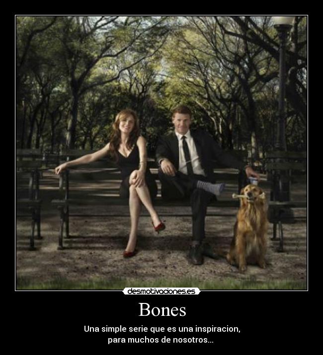 Bones -
