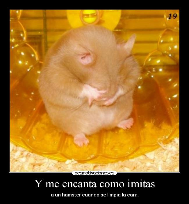 Y me encanta como imitas -