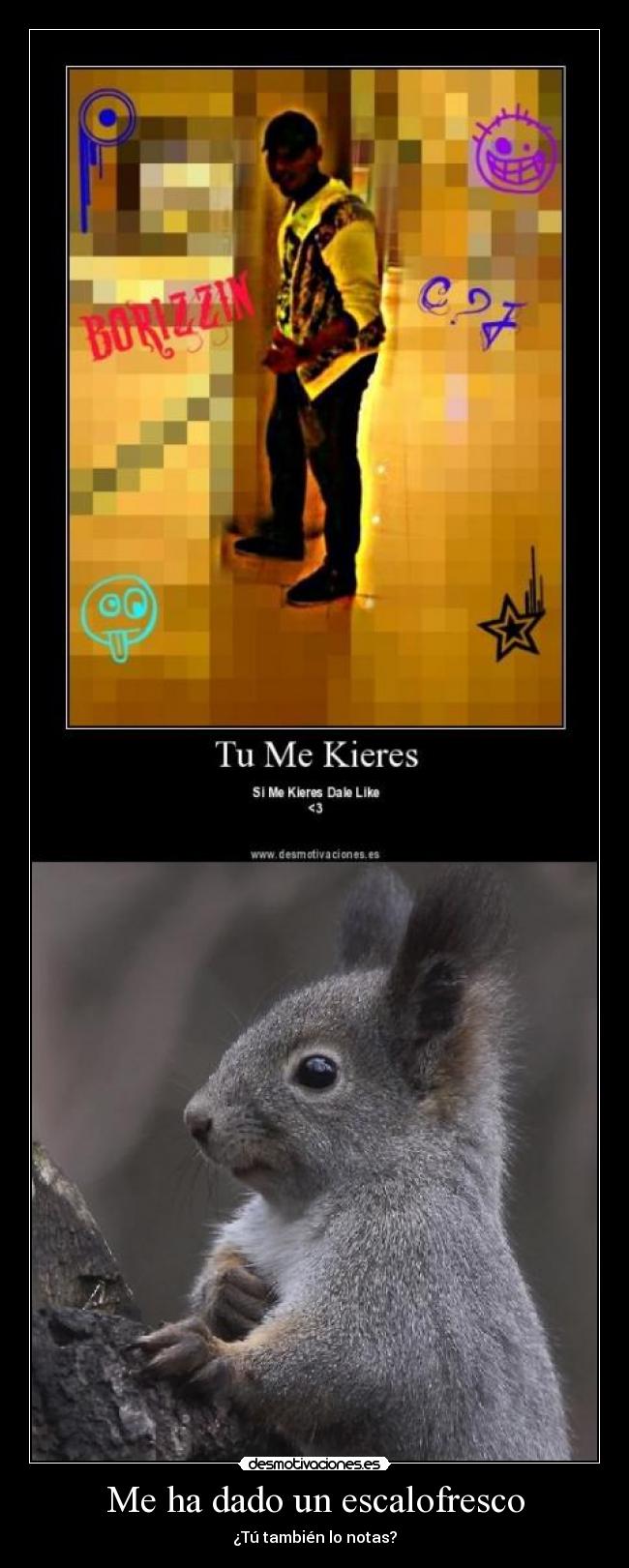 carteles las ardillas molan desmotivaciones