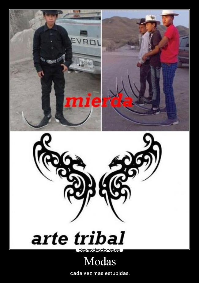 carteles tribal mierda cheros desmotivaciones