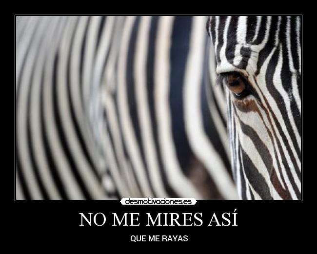 NO ME MIRES ASÍ -