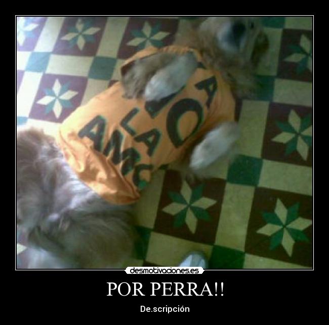 POR PERRA!! -