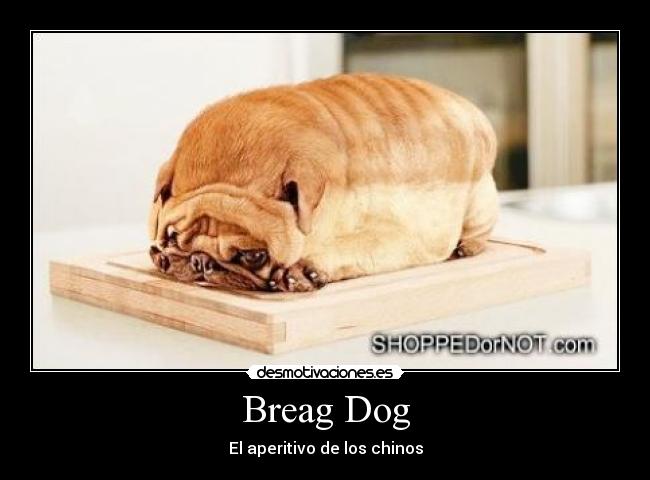 Breag Dog - El aperitivo de los chinos