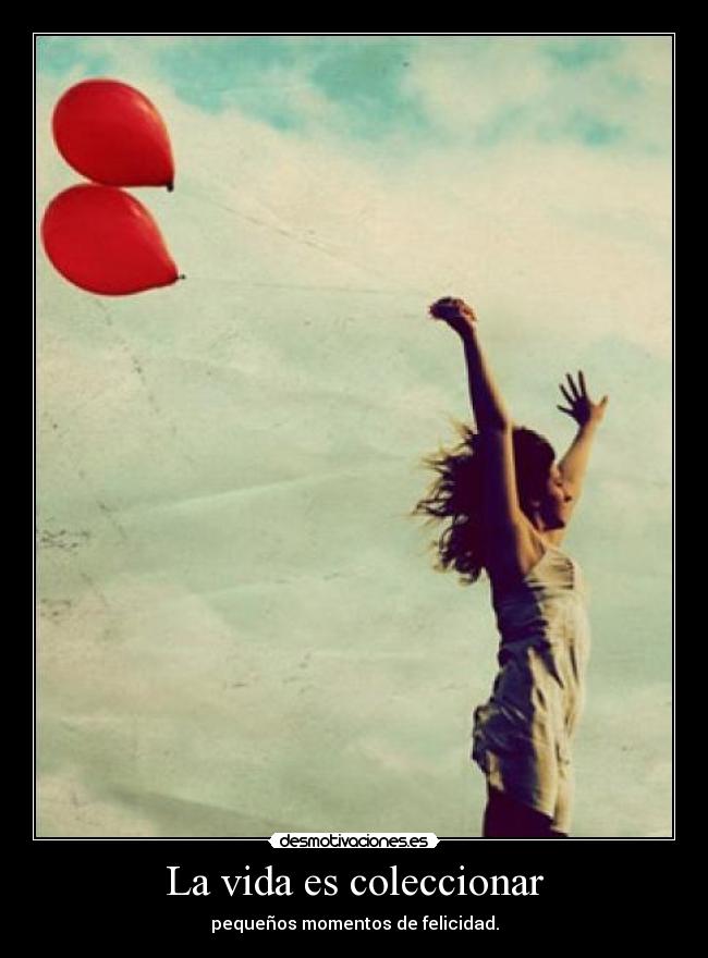 La vida es coleccionar - 