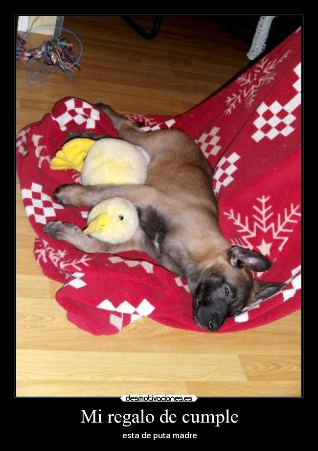 Mi regalo de cumple - esta de puta madre