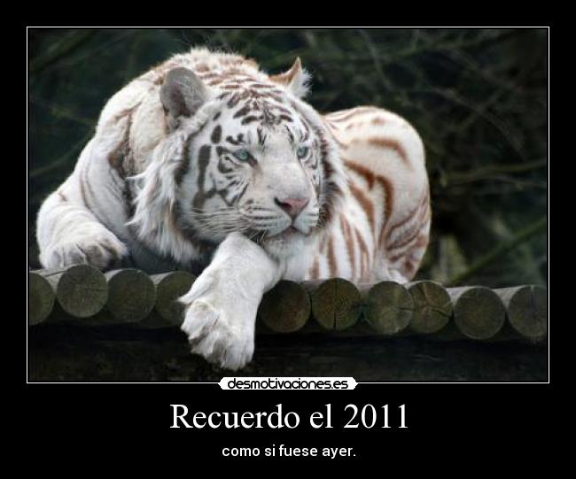 Recuerdo el 2011 -