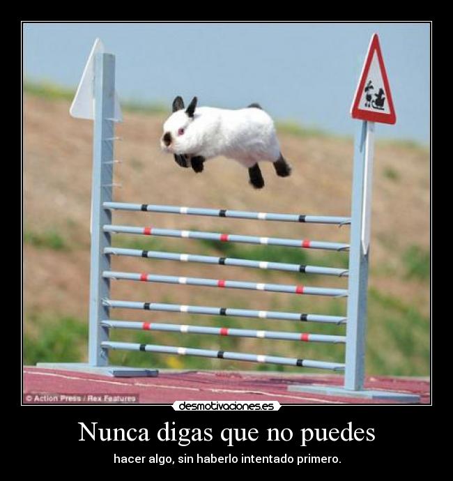 Nunca digas que no puedes - hacer algo, sin haberlo intentado primero.